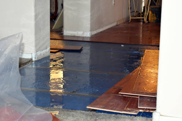 Professional Sewage Cleanup technician working in Gaylord, MI
