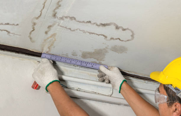 Reliable Sewage Cleanup contractor in Gaylord, MI by Water Damage Irwin